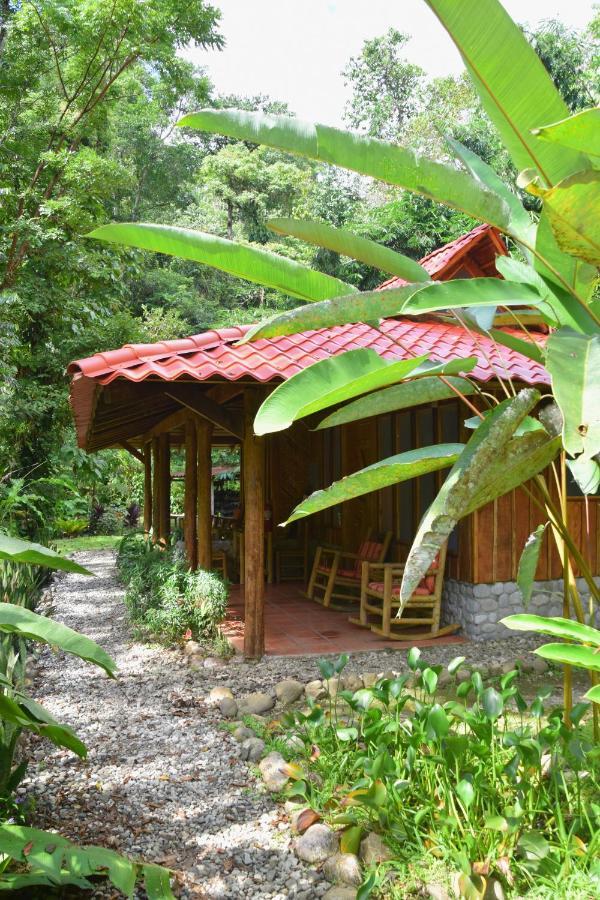 Esquinas Rainforest Lodge Golfito Exterior foto
